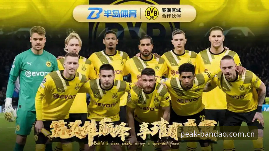 半岛体育手机版 vs 网页端：全面对比，哪个更适合你的观赛需求？